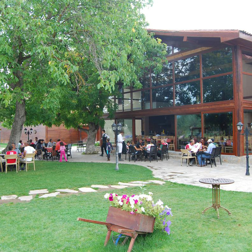 Daday Psikoloji Kampı Kendini Keşfetme Yolculuğu ve Aile Dizimi