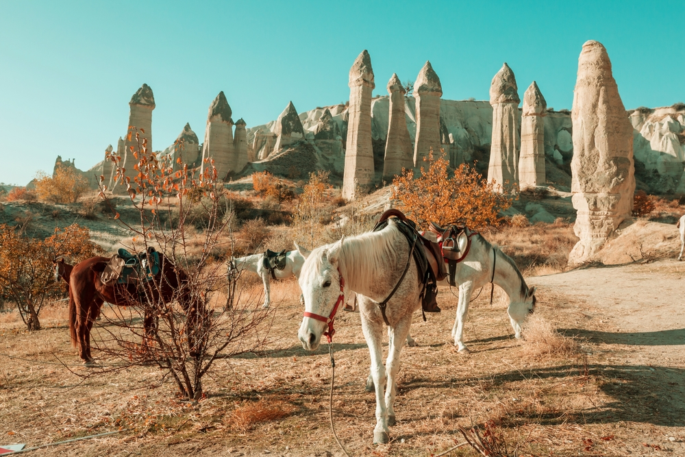 Günübirlik Kapadokya Turu