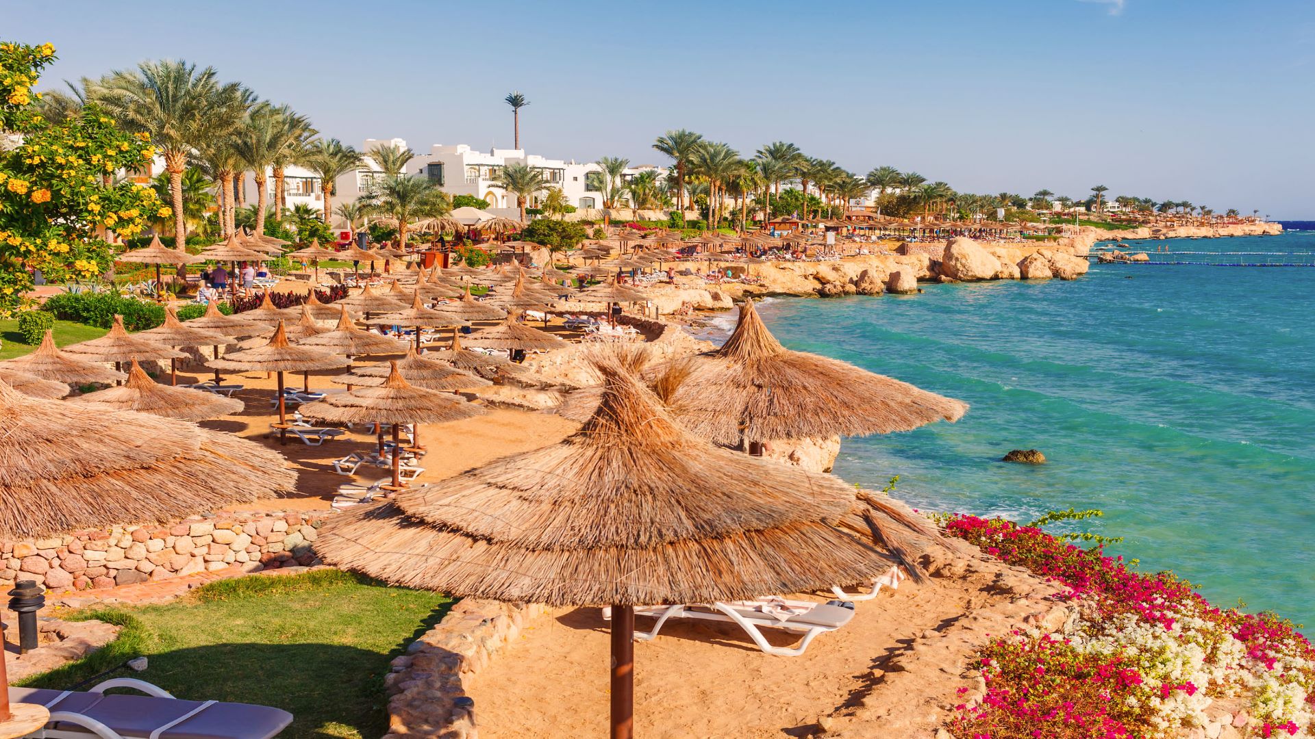 Sharm El Sheikh Turu - 3 Gece 4 Gün - Air Cairo Özel Seferi İle