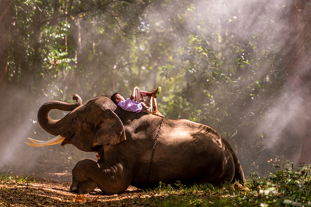 Ankara'dan Bankgkok Phuket